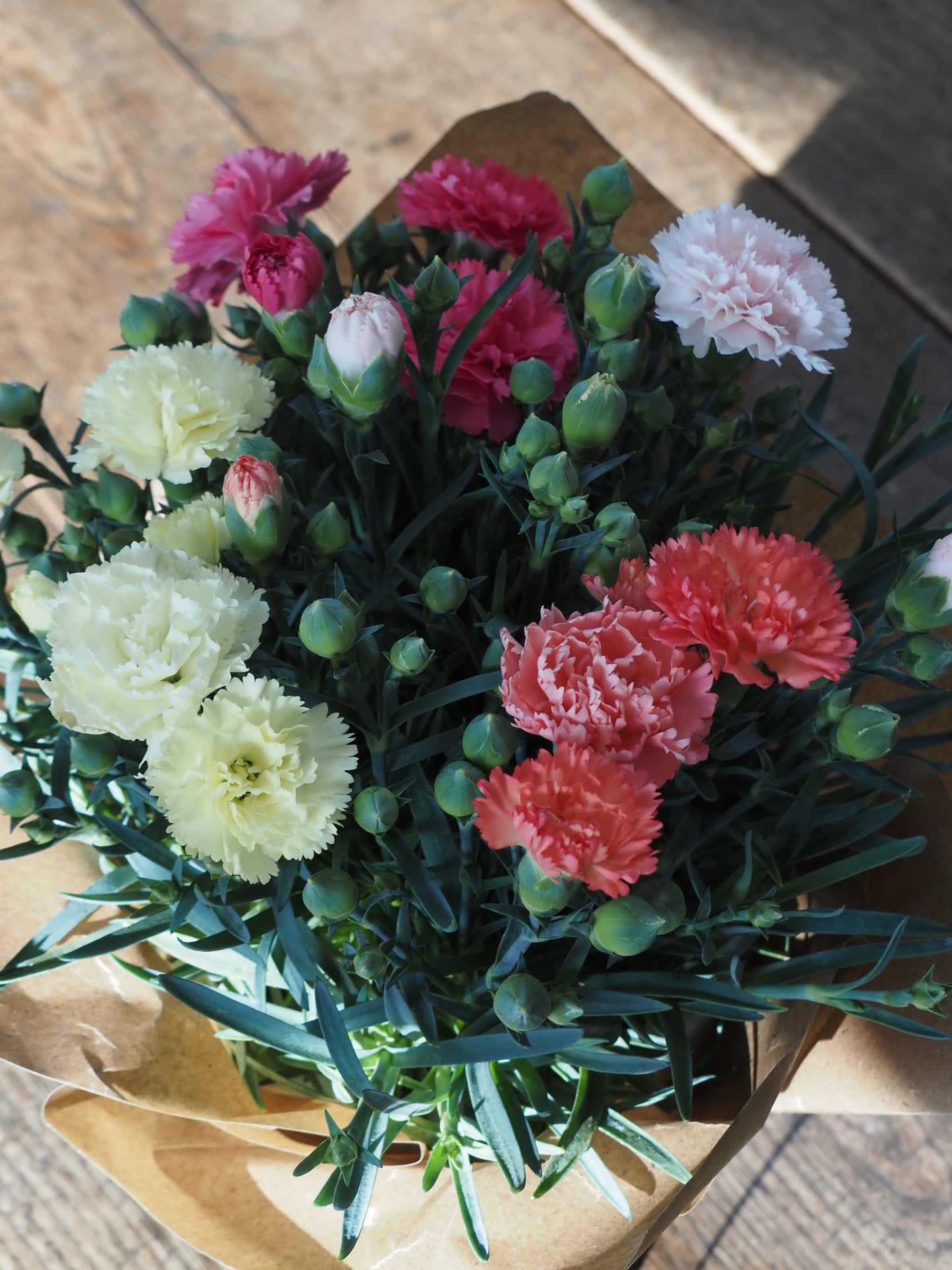 カーネーション サキーネ 4色ミックス