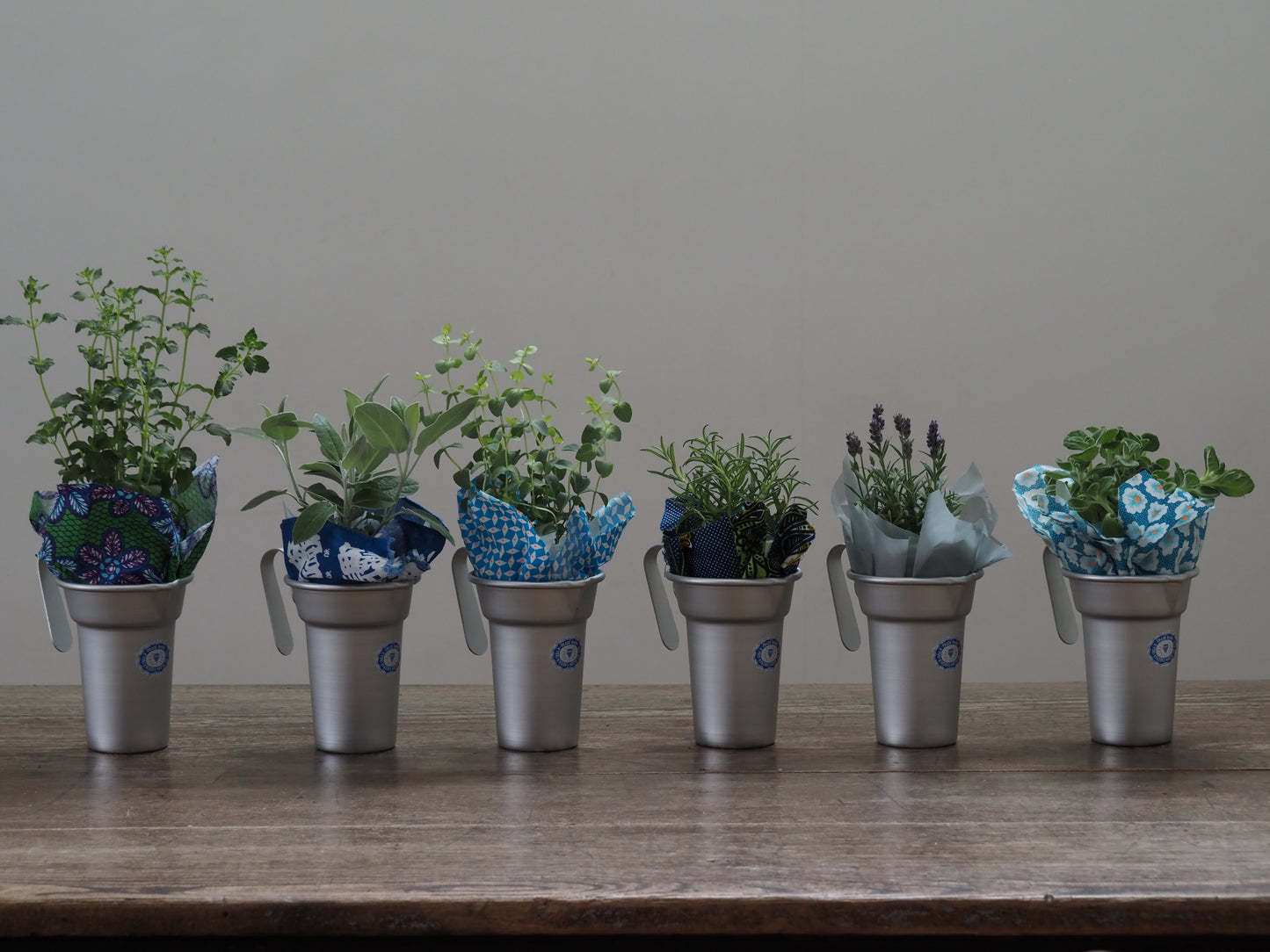 父の日ギフト 酒たんぽ(ちろり)と植物セット