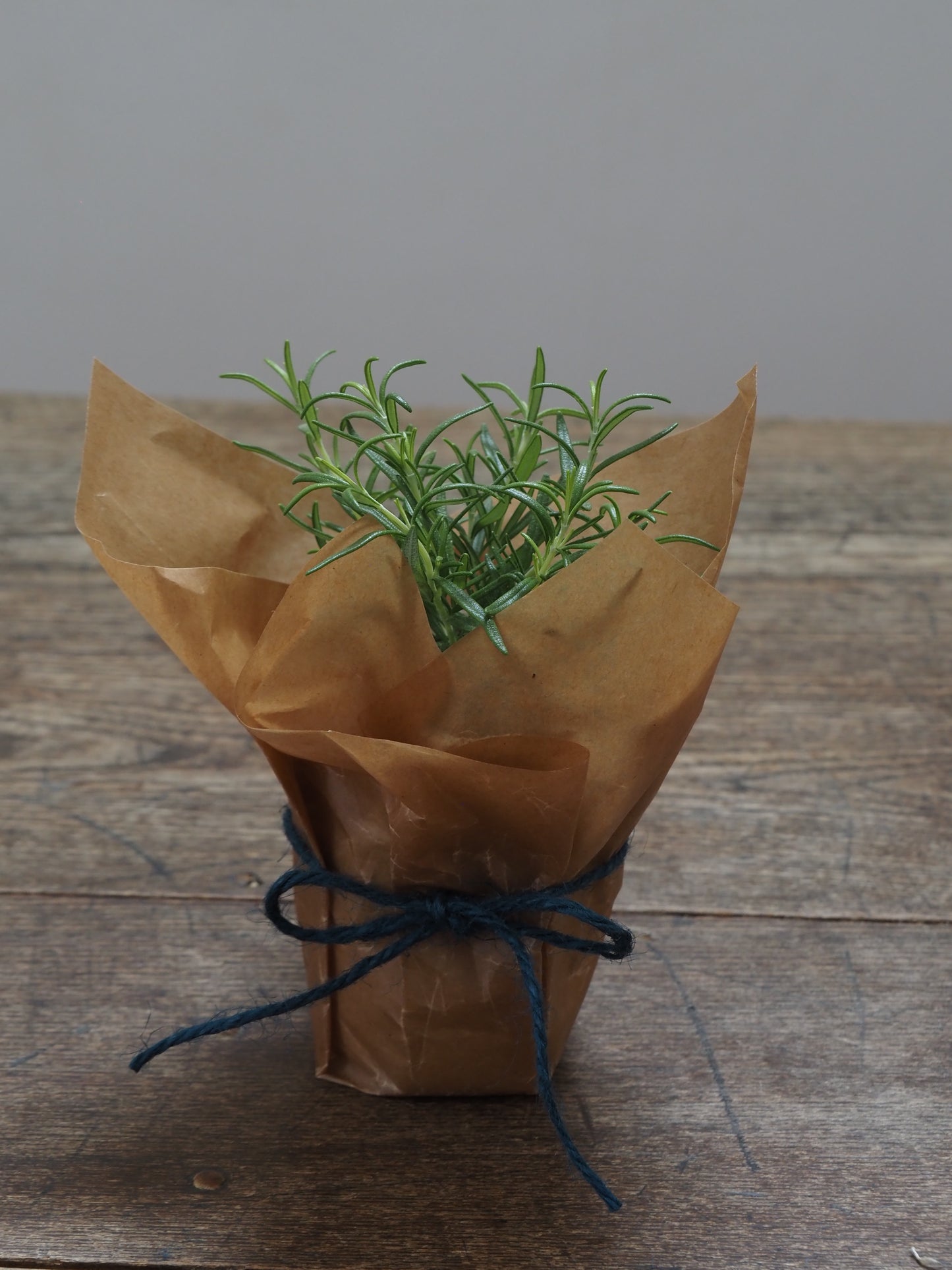 父の日ギフト 酒たんぽ(ちろり)と植物セット