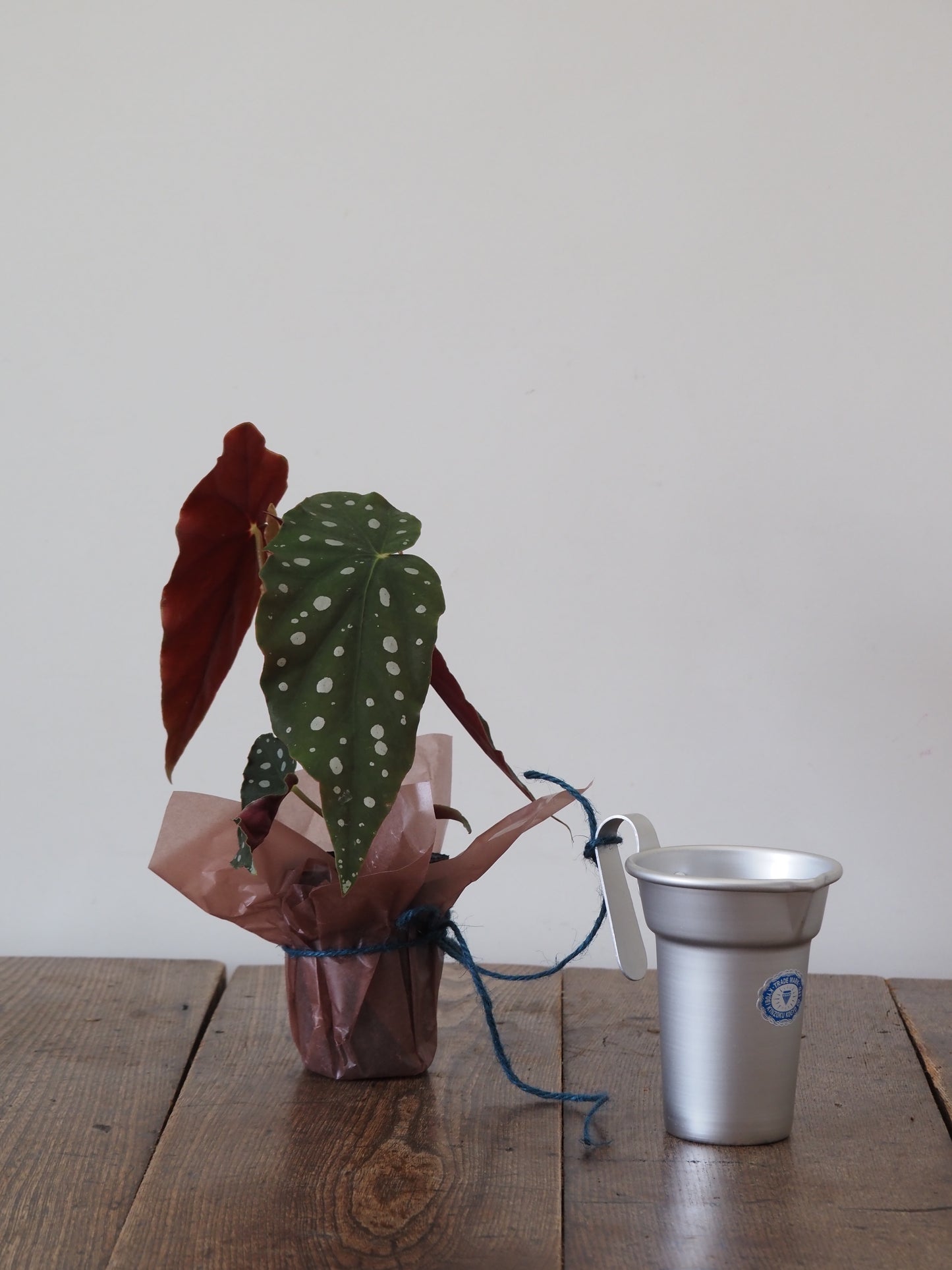 父の日ギフト 酒たんぽ(ちろり)と植物セット