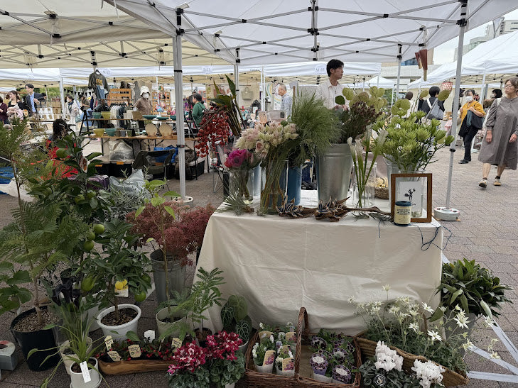 c side marche 不定期に出店する花屋orsowです