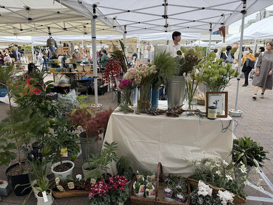 c side marche 不定期に出店する花屋orsowです