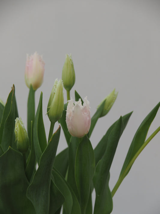 先生への花束