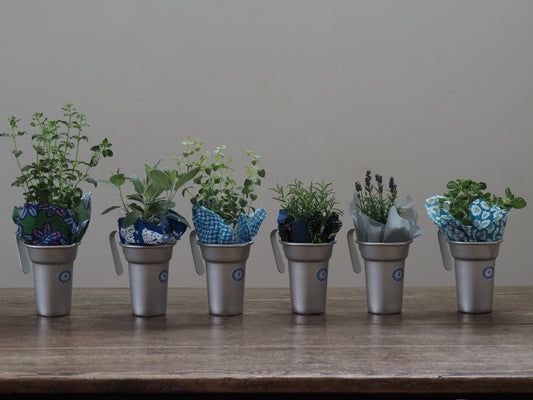 父の日ギフト 酒たんぽ(ちろり)と植物セット