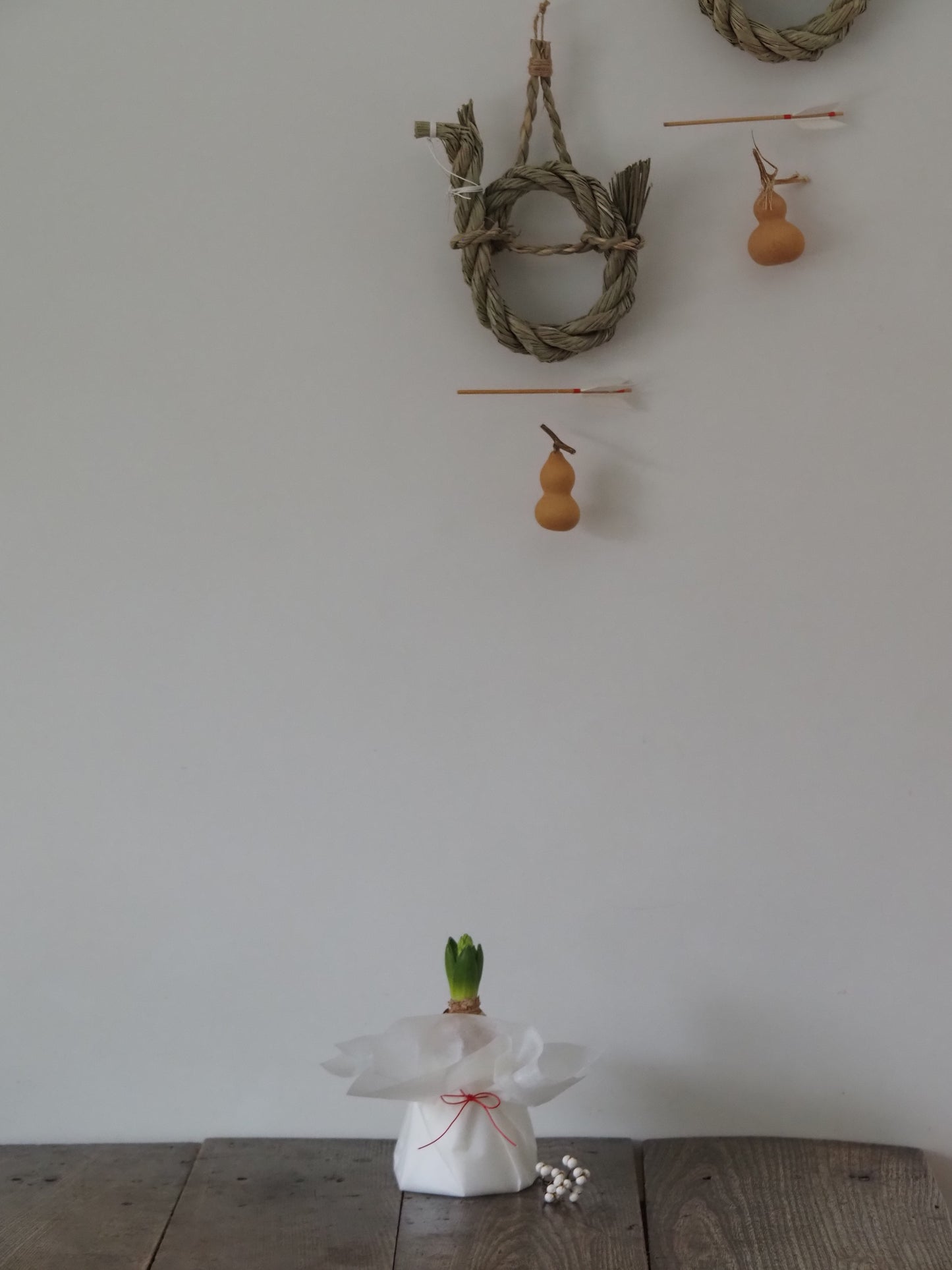 ヒヤシンスとプラポットのセット